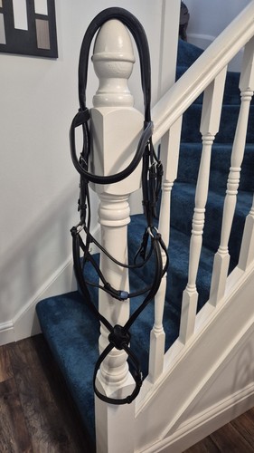 Lemieux grackle bridle black - bridle,