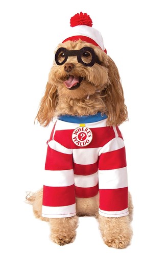 Woof where waldo - woof, striped