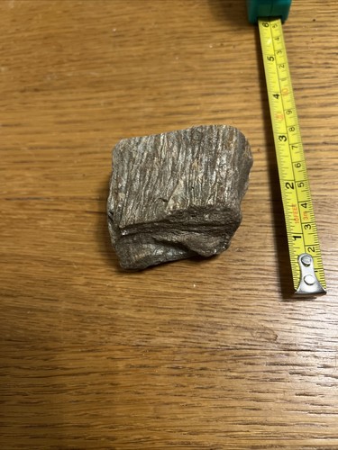 Fossilised petrified wood - fossilised,