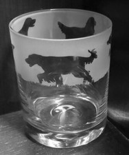 GORDON SETTER Frieze Boxed