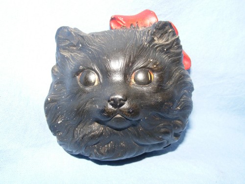 Bossons kitten persian cat - persian,