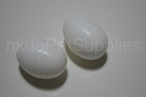 Dummy eggs for pigeons - dummy,