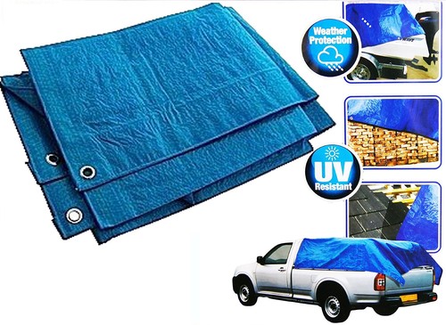 Heavy duty tarpaulin blue - duty-tarpaulin,