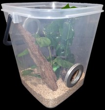 Arboreal Invertebrate Reptile