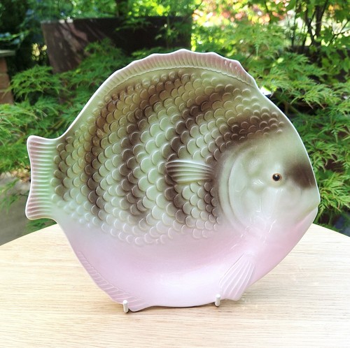 Shorter son fish - &,