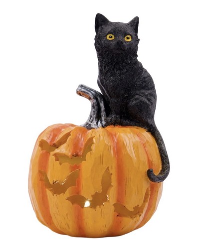 Black orange cat - on, pumpkin