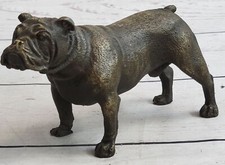 English Bulldog Miniature