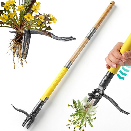Stand weed puller tool - up, long
