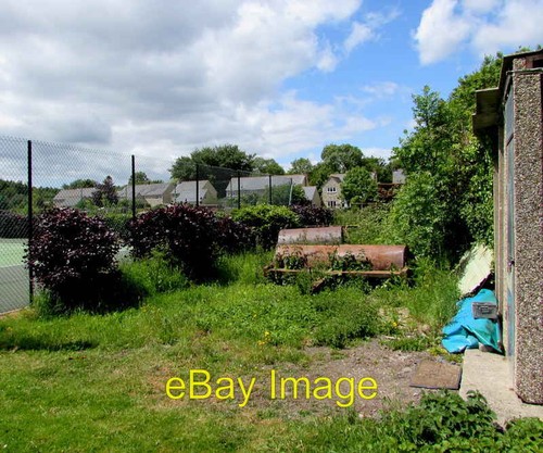 Photo 6x4 cricket - photo,