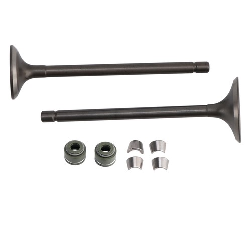 Intake exhaust valve kit - intake, for
