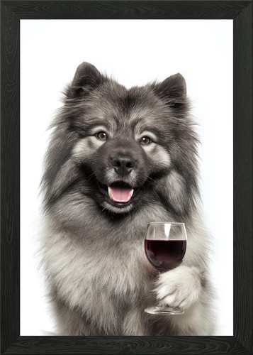 Keeshond dog holding - , a