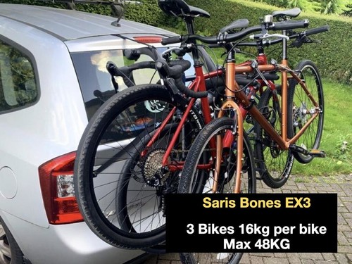 Saris bones ex3 - saris,
