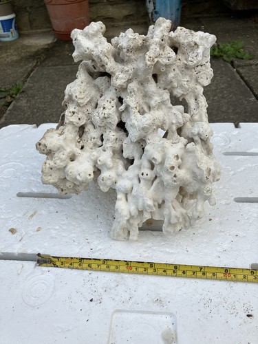 Tr6 dry fiji - tr6, 1.5kg