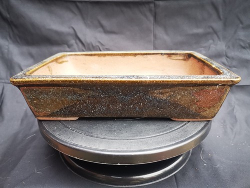 Glazed blue bonsai - blue, pot
