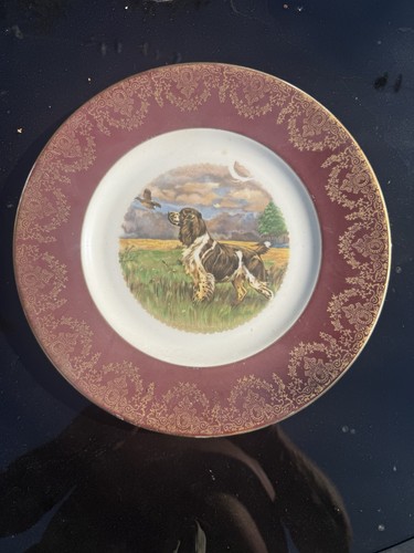 Vintage springer spaniel - vintage,