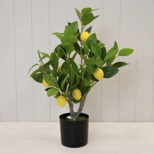 Realistic artificial lemon - artificial,