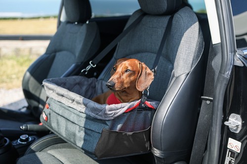 Kong secure dog car booster - secure,