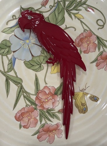Vintage parrot bird - vintage, red