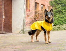 Rukka Pets Large Dog Coat