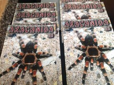 Tarantula /Arachnida 