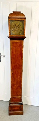 Rare walnut slimline - walnut, case