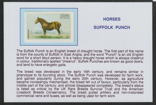 Staffa 1977 horses suffolk - staffa,
