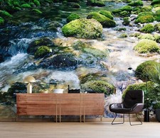 3D Sunshine Creek R4299