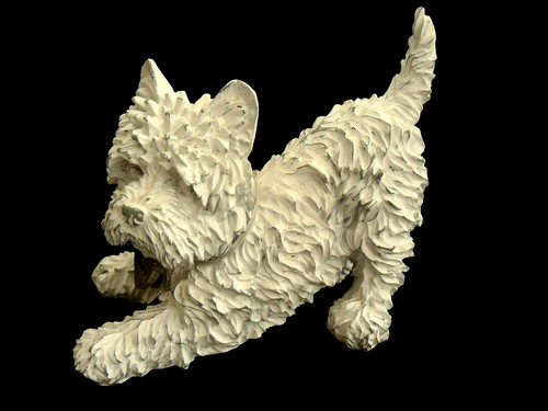 Next west highland terrier - next,