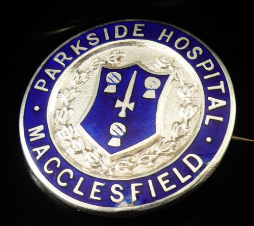 Sterling silver nursing badge - silver,