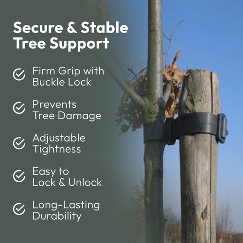 Tree ties buckle - ties, 45cm