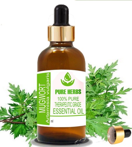 Pure herbs mugwort 100 - mugwort, &