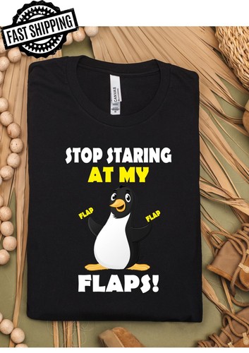 Stop staring flaps - stop,