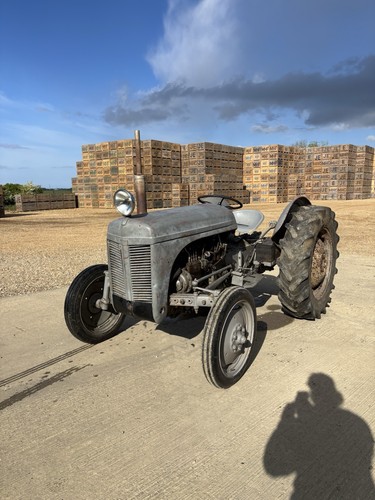 Grey ferguson diesel tef20 - grey,