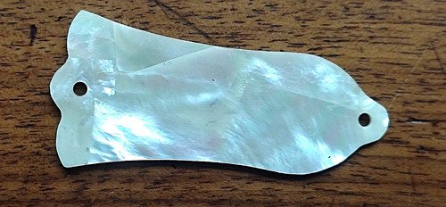 Truss rod cover - , gibson