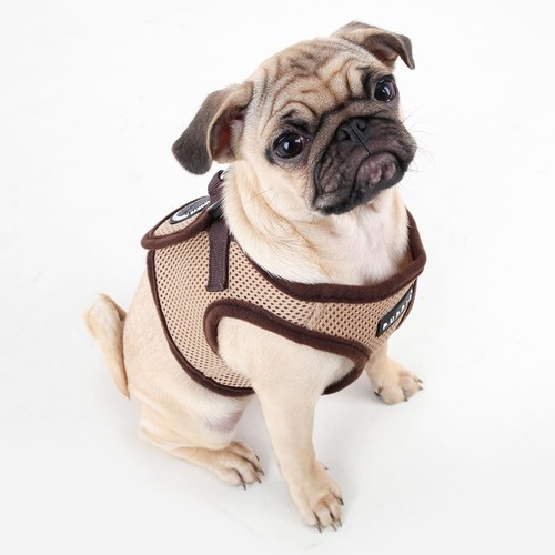 Puppia air mesh soft - mesh,