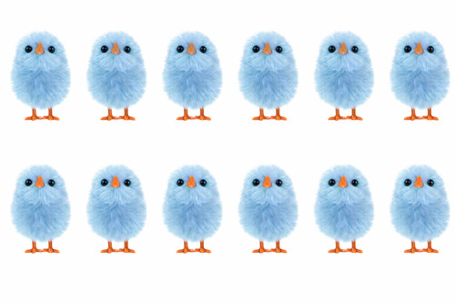 160 mini chicks bonnet - -,