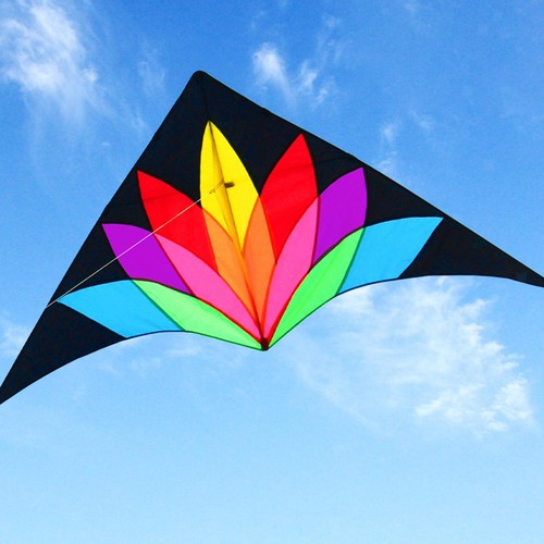 Large delta beach kite - large,