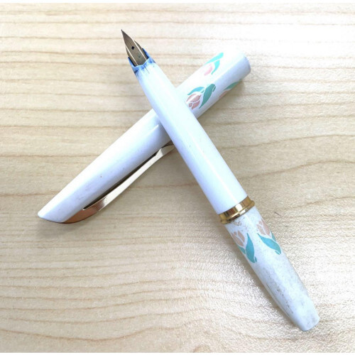 Platinum fountain pen pocket - platinum,
