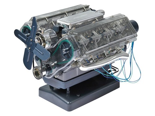 Haynes model fully - fully, functional