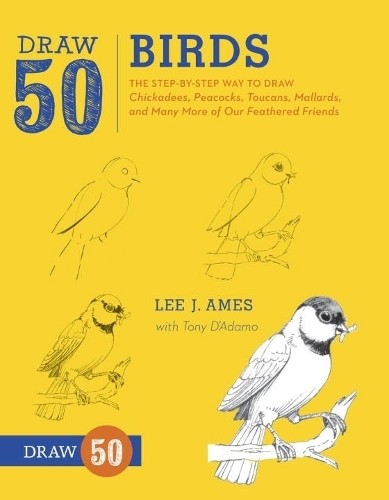 Draw birds the - draw, birds: