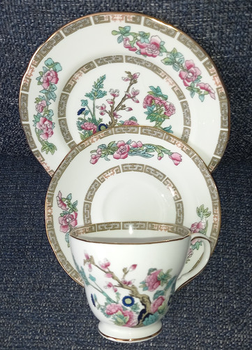 Duchess indian tree - duchess, bone