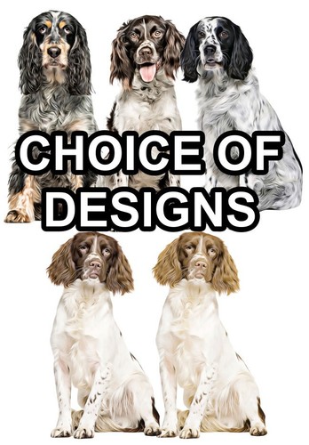 English springer spaniel - english,