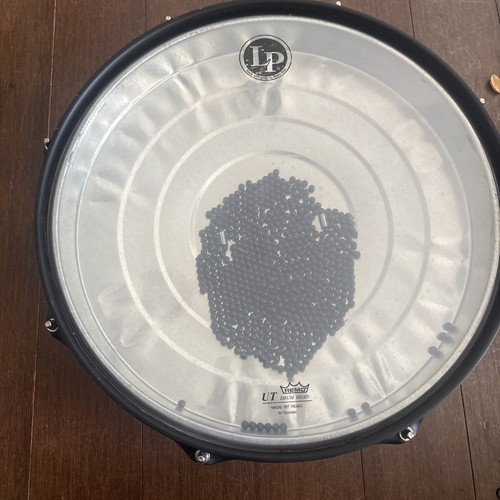 Latin percussion lp1601 raw - latin,