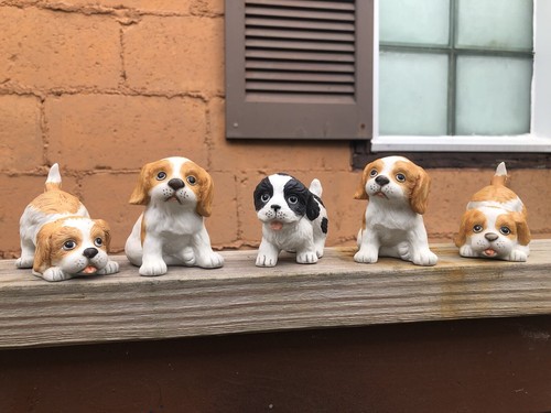 Springer spaniel w - spaniel,, pup