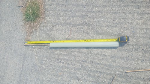 Tree guard whip guards - guard,