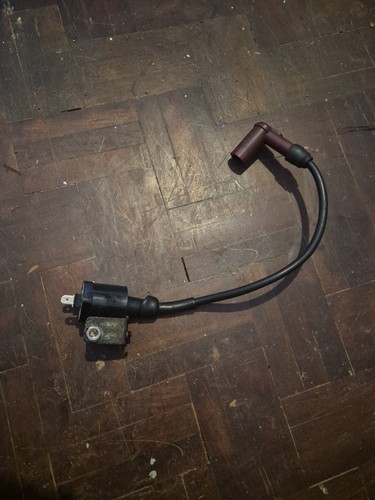Cpi sx50 coil lead - ht,