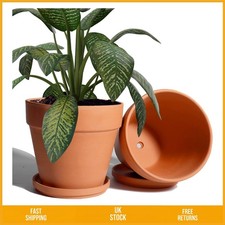 Elegant Large Terra Cotta Clay