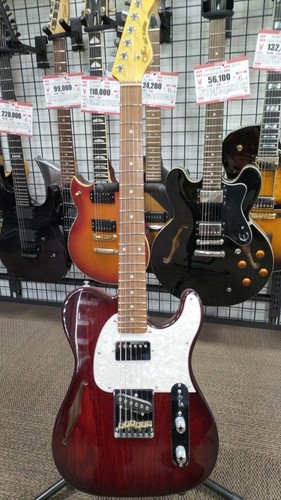 Electric guitar tribute - g&l,
