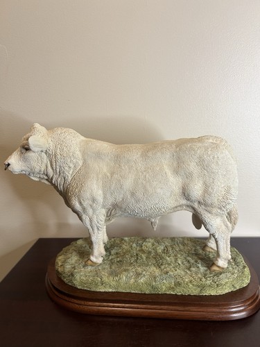 Border fine arts charolais - border,
