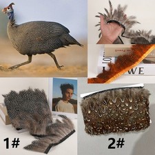 1/5M Guinea Fowl Feathers Fringe Trim DIY Crafts Costume Sewing Millinery Decor